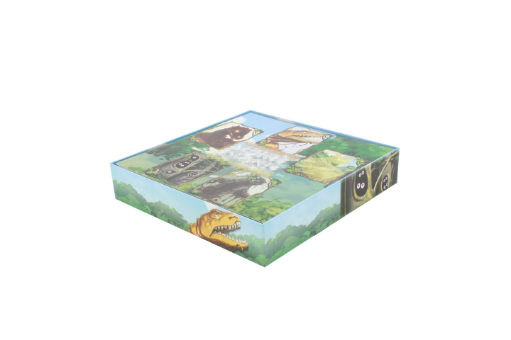 Horizons of Spirit Island Compatible Game Organizer